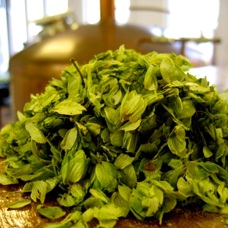 Brewery Tours in the UK